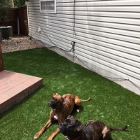 Turf Around Hot Tub with Dogs