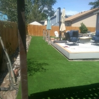 1809 Back Yard Turf