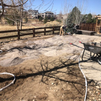 2049 Turf Backyard with Rock Border and Trees Before
