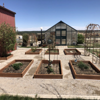 2071-Turf-for-garden-boxes-before