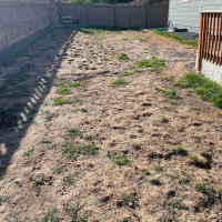 2091-Backyard-before