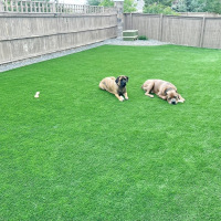 2093-Backyard-after-turf-down