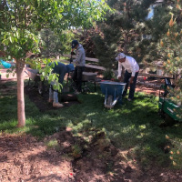 2094-sod-removal-back-yard-before