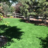 2095-sod-removal-area-after