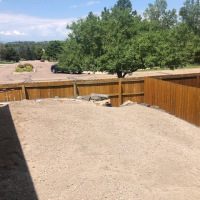 2103-Turf Backyard with Fence Before