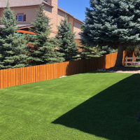 2104-Turf Backyard with Fence After