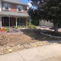 2105-Turf Front Yard with Tree Before 2