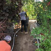 2109-Pathway Before Turf