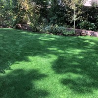 2112-Side Yard After Turf