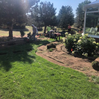 2115-Sod Removal for Turf Installation