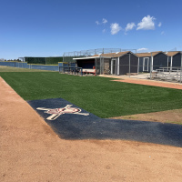 2055 Chap Turf First Baseline Turf After