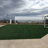 1941 Dilley Texas Turf Open Area After
