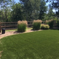 1925 Residential Turf
