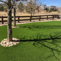 2050 Turf Backyard with Rock Border and Trees After