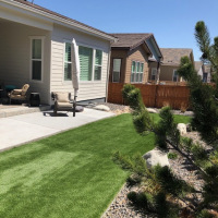 2012 Turf Yard No Maintenance