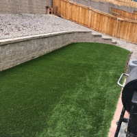 2028 Backyard Turf Next to Patio