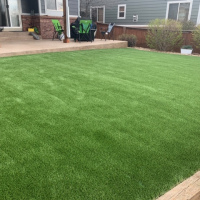 2001 No Maintenance Back Yard Turf