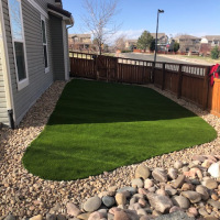 2052 Side Yard Turf After