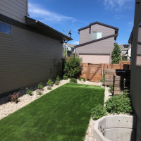 2020 Small Backyard After