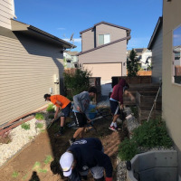 2019 Small Backyard Before