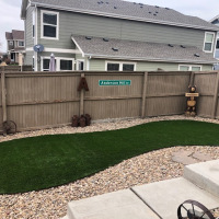 2027 Small Rounded Backyard Turf