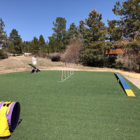 2029 Turf Backyard Dog Agility Course