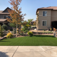 2026 Turf Front Yard