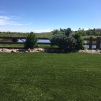 1913 Turf Yard Installed