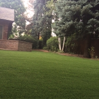 Residential Turf Lawn