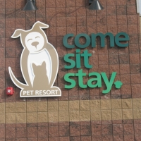 Dog Park 1